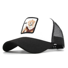 Charger l'image dans la galerie, casquettes de Baseball hommes femmes Snapback us 26 modèles disponible en quantité limitée - Tommy Taylor