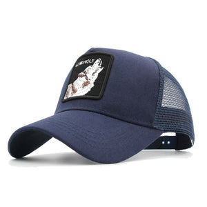 casquettes de Baseball hommes femmes Snapback us 26 modèles disponible en quantité limitée - Tommy Taylor 