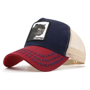 casquettes de Baseball hommes femmes Snapback us 26 modèles disponible en quantité limitée - Tommy Taylor 